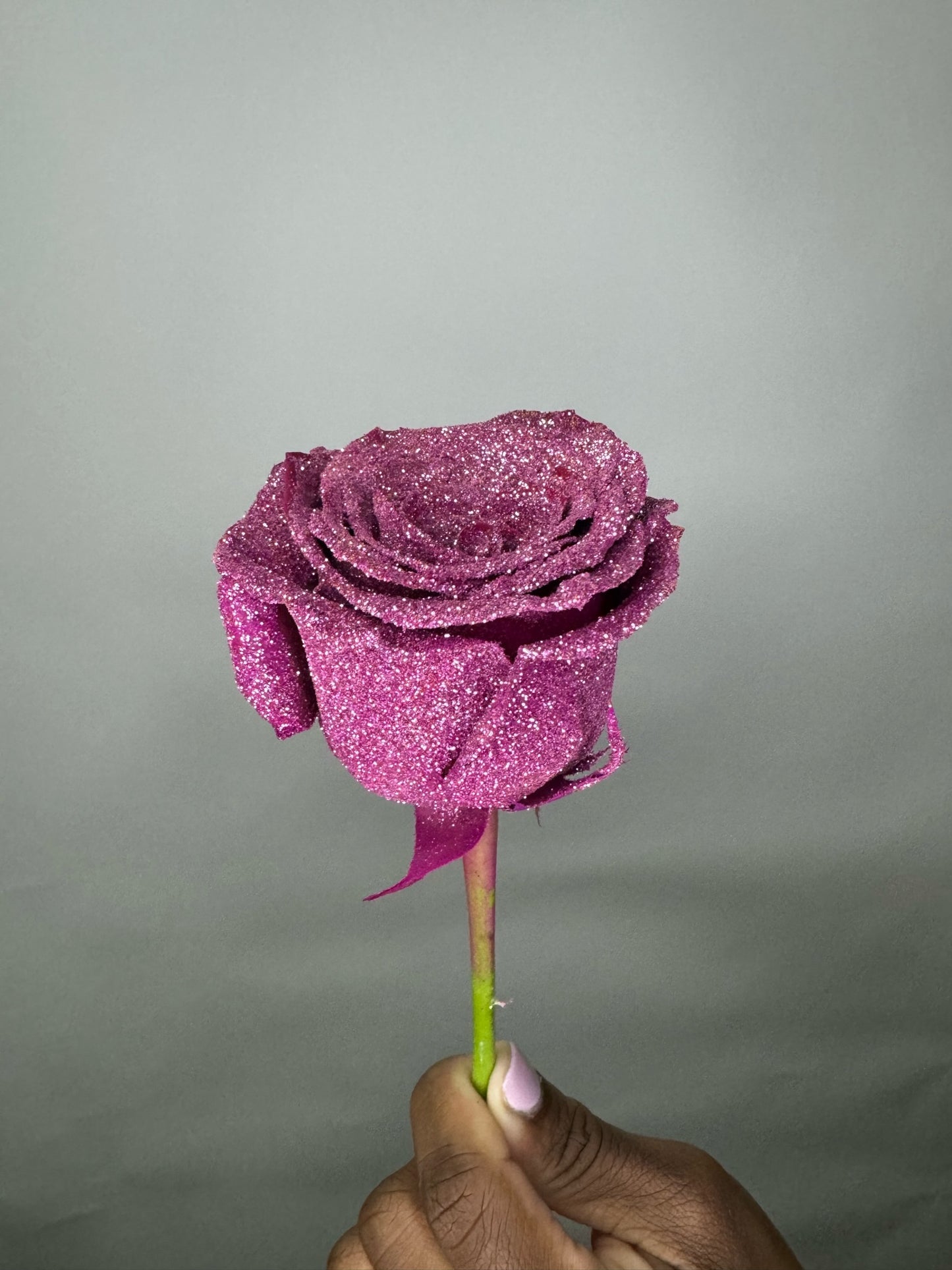 Shimmer Roses