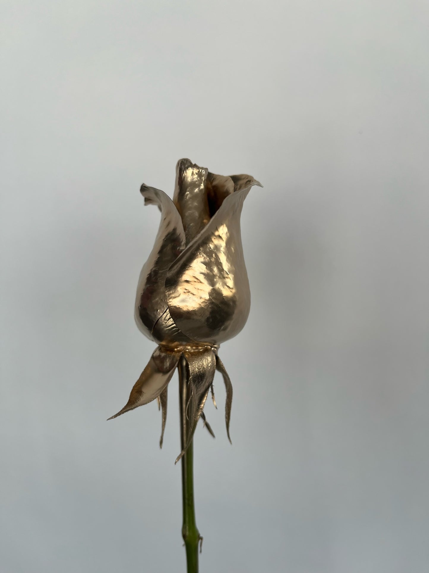 Dipped Roses