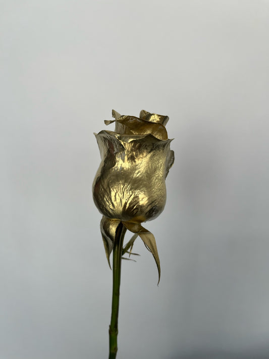 Dipped Roses