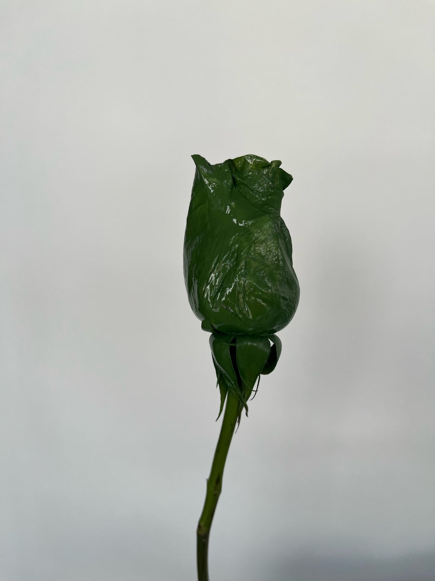 Dipped Roses