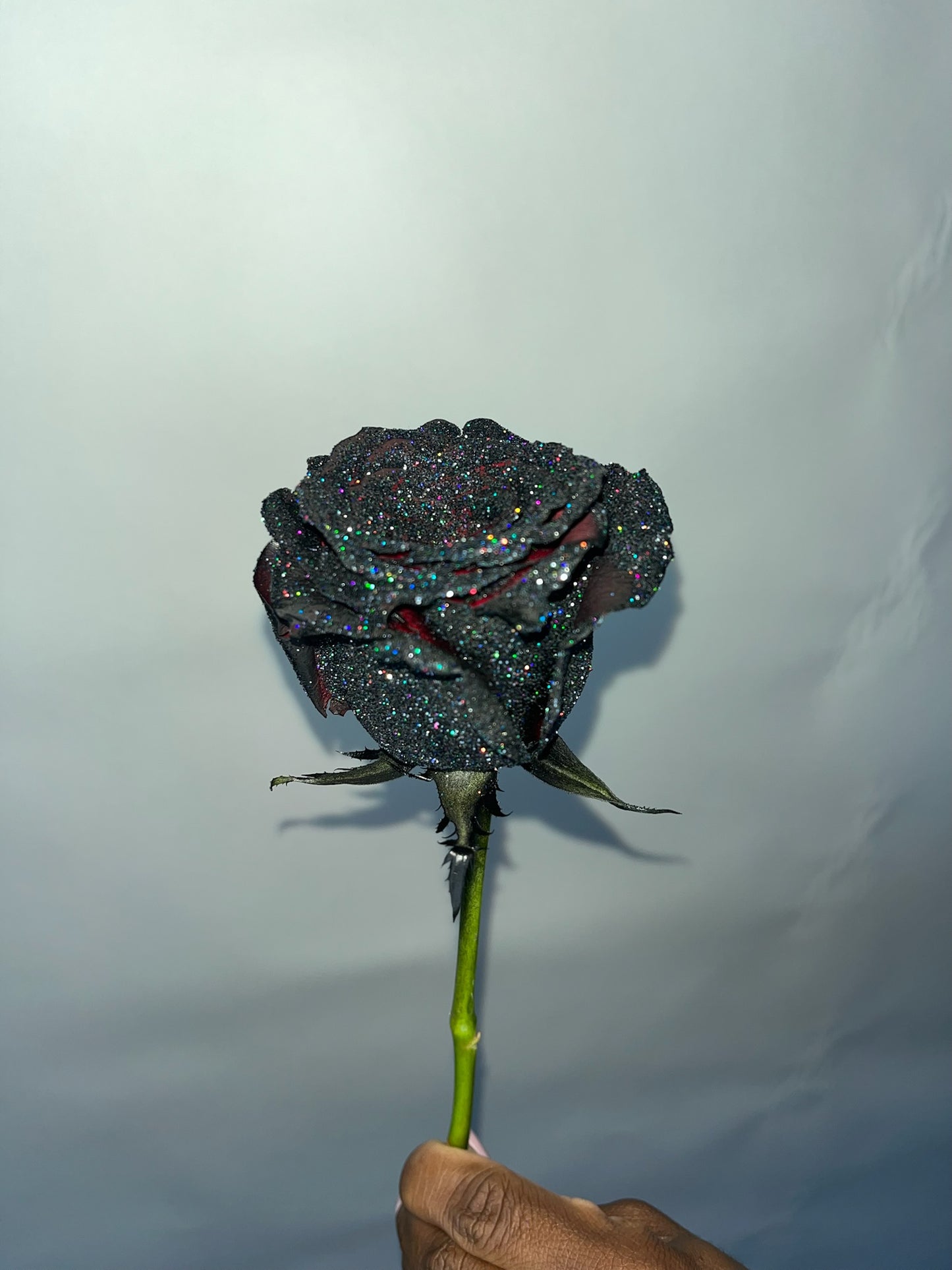 Shimmer Roses
