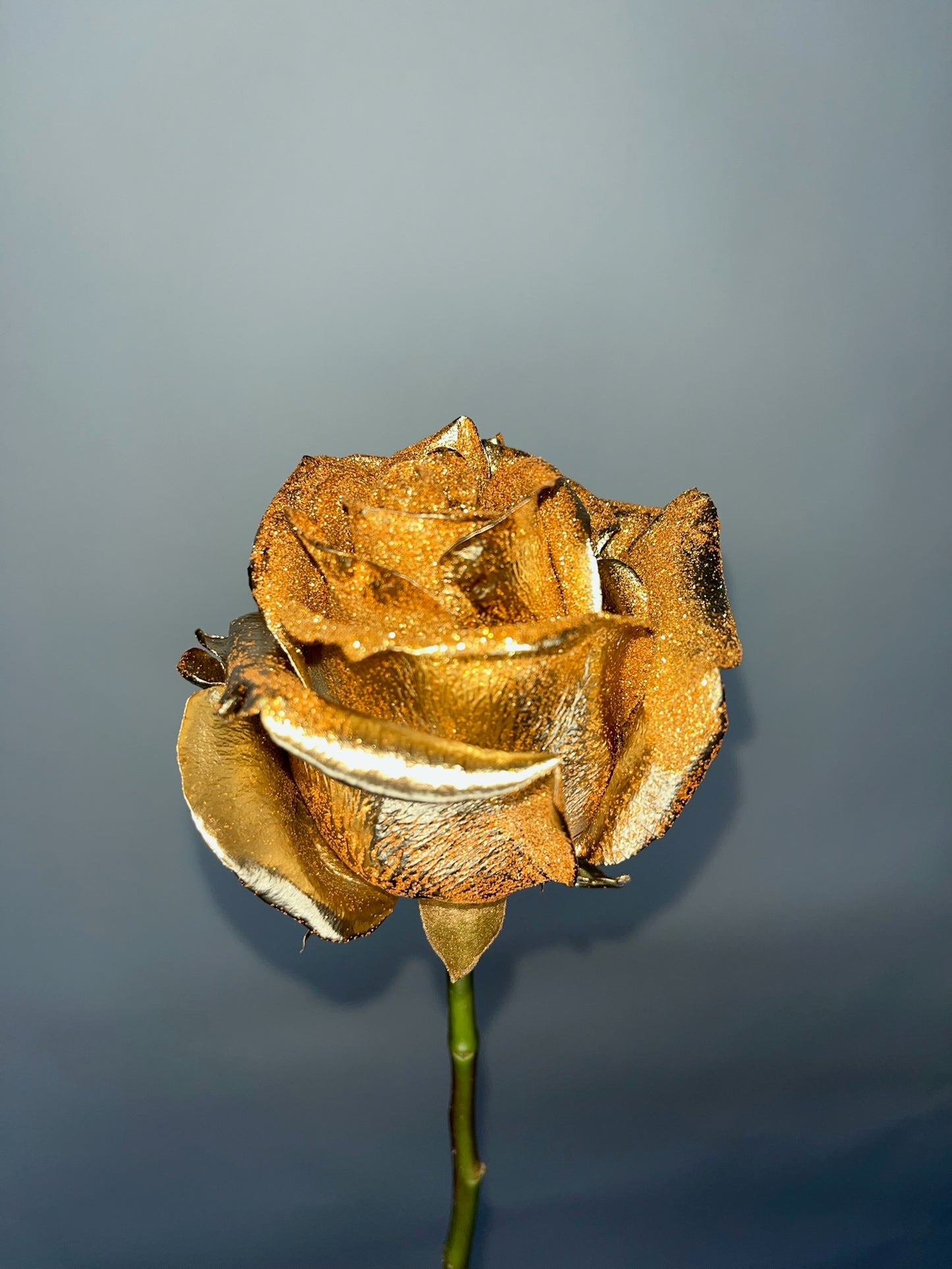 Shimmer Roses
