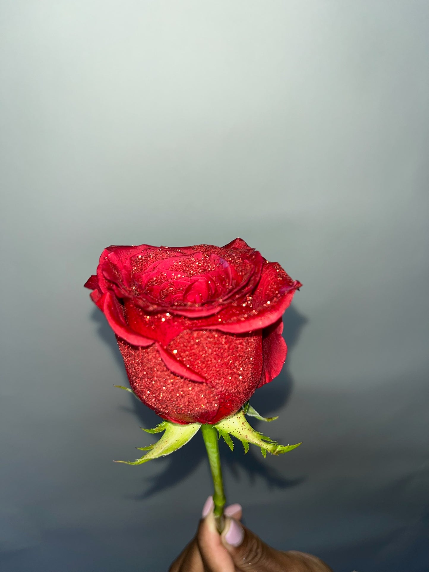 Shimmer Roses