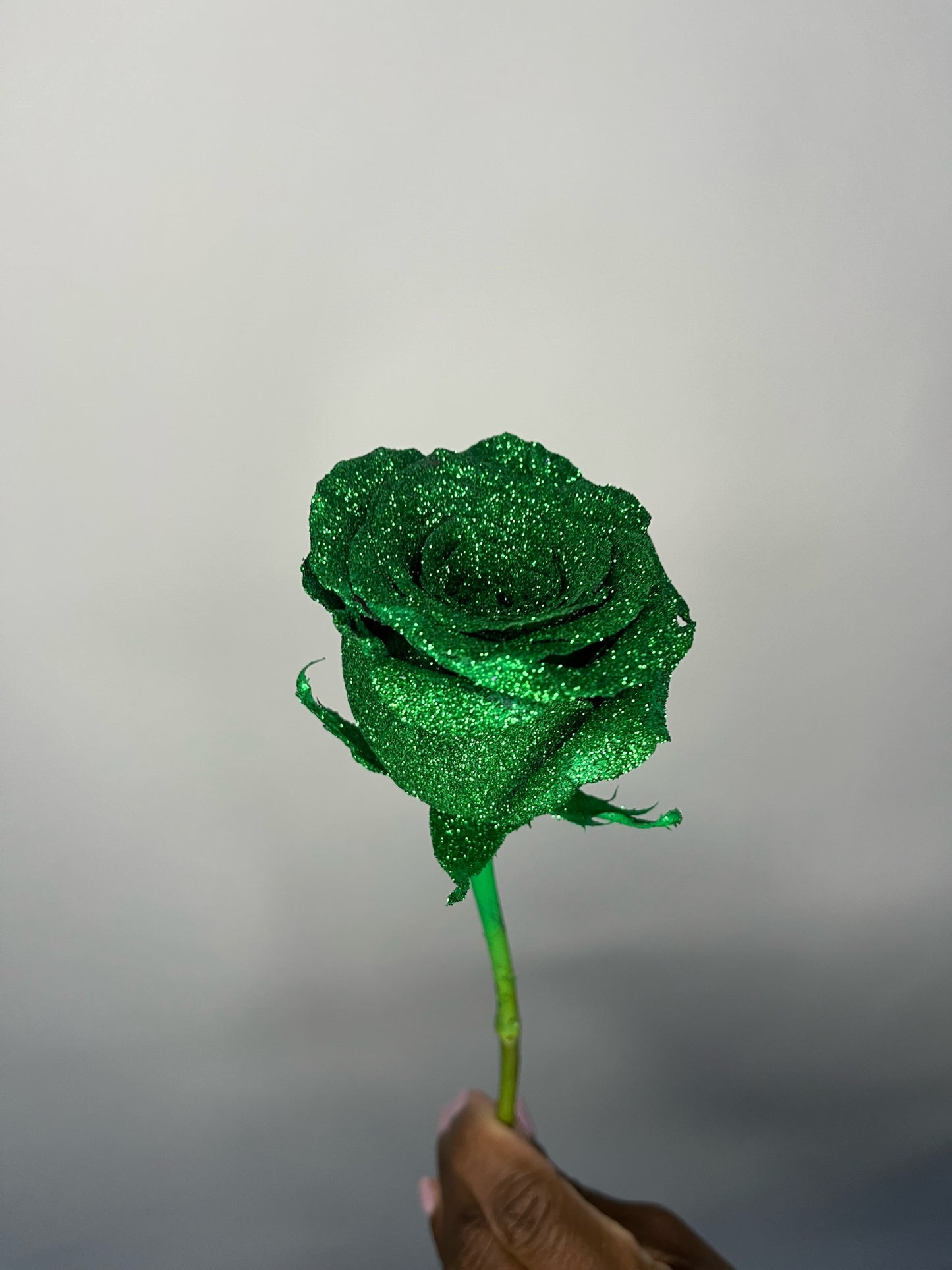 Shimmer Roses